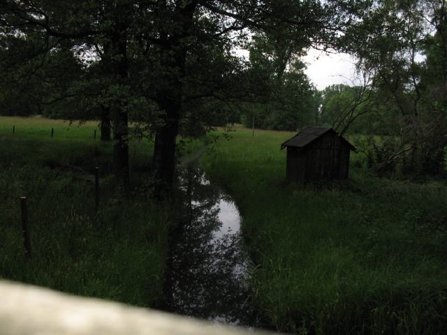 Ein Bild vom Heimweg durch Lehde